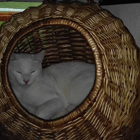 Pensión Birgit Telfes im Stubai