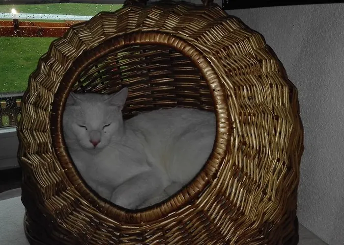 بيت ضيافة لاندهاوس بيرجيت تلفس ام ستوباي